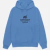 Stussy Blue Sportswear Hoodie